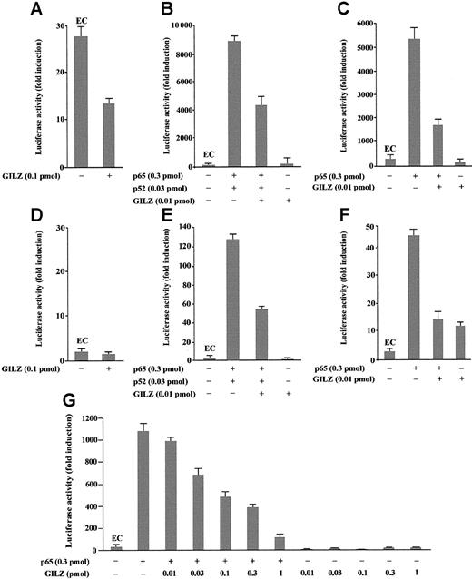 Fig. 2. GILZ inhibits p65/p52-dependent transactivation of a IgG/HIV-κB (pBIIXLUC) site-driven luciferase reporter. / Analysis of transcriptional activity was performed on transiently transfected 293 (A-C, G) or NTera-2 (D-F) cells. The indicated amounts of PMT2T-GILZ (0.1 pmol = 370 ng), PMT2T-p65 (0.3 pmol = 1.4 μg), and PMT2T-p52 (0.01 pmol = 47 ng), alone or in combination, were cotransfected with 15 μg (4 pmol) of the target plasmid pBIIXLUC. The values are expressed as fold increases of luciferase activity. Each transfection was performed in triplicate, and SD bars are shown. EC indicates endogenous control.