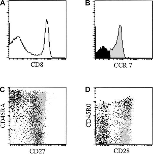 Fig. 3. CCR7− CD8+ T cells are among CD27+ and CD27− cells. / (A) Histogram of CD8 expression (x-axis, arbitrary units, log scale) versus cell number (y-axis) in PBMCs from one representative healthy individual. The horizontal line designates the gate for CD8bright lymphocytes. (B) Histogram of CCR7 expression (x-axis, arbitrary units, log scale) versus cell number (y-axis) in gated CD8bright T cells. The horizontal line designates the gate for CCR7− cells (black). (C) Dot plot of CD27 expression (x-axis, arbitrary units, log scale) versus CD45RA expression (y-axis, arbitrary units, log scale) in gated CD8bright T cells. CCR7− cells are represented in black, whereas CCR7+ cells are represented in gray. (D) Dot plot of CD28 expression (x-axis, arbitrary units) versus CD45R0 expression (y-axis, arbitrary units) in gated CD8bright T cells. CCR7− cells are represented in black, whereas CCR7+ cells are represented in gray.