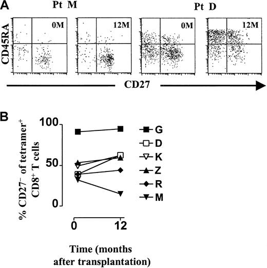 Fig. 7. Viral antigen drives CD27 down-modulation on antigen-specific CD8+ T cells. / (A) Dot plots of CD27 expression (x-axis, arbitrary units, log scale) versus CD45RA expression (y-axis, arbitrary units, log scale) within gated tetramer-positive CD8+ T cells before transplantation (0M) and 12 months after transplantation (12M) from one patient without positive urine cultures (left panel) and one patient with positive urine cultures (right panel). (B) Frequencies of CD27−cells among CMV-specific CD8+ T cells (y-axis, percentage of tetramer-positive CD8+ T cells) in CMV-seropositive HLA-A2+ renal transplant recipients (designated by capitals) before and 12 months after transplantation (x-axis, months).