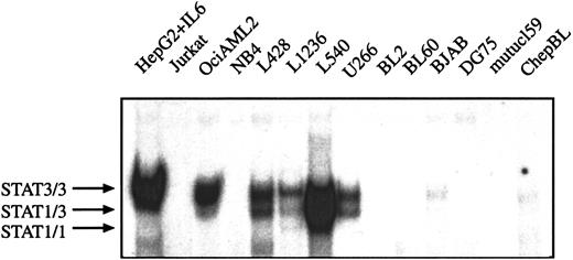 Fig. 3. STAT3 is constitutively activated in HD cell lines but not in BL cells lines. / Equal amounts of nuclear extracts of each cell line (as indicated) were analyzed in a gel retardation experiment using radiolabeled oligonucleotides containing the consensus or a mutated STAT1/3 binding site as described in “Material and methods.” HepG2 cells were stimulated with IL-6 (15 minutes, 250 U) before nuclear extracts were prepared. The position of STAT3 and STAT1 homodimers and heterodimers are shown by arrows.
