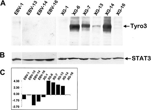Fig. 3. Tyro3 protein expression in myeloma and LCL samples. / (A) An equal amount of protein extracts from exponentially growing cell lines were blotted with a specific anti-Tyro3 antibody. (B) As a loading control the same blot was stripped and reprobed with an anti-STAT3 antibody. (C) RNA expression of Tyro3 in the same set of cell lines as assessed by the Atlas array (log base 2 transformed and median centered). Western blots are representative of 2 independent experiments.