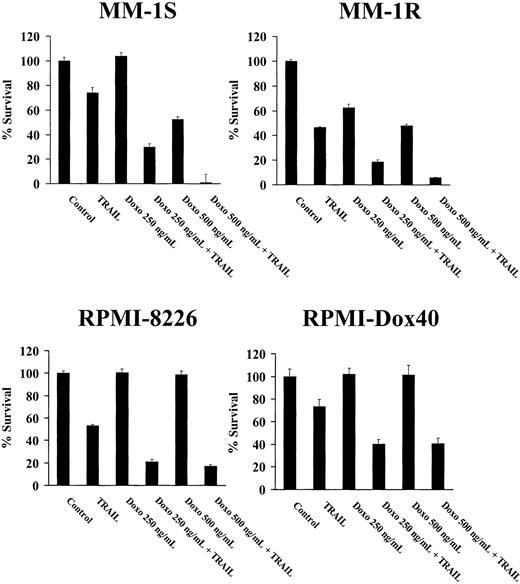 Fig. 8. Doxorubicin sensitizes Dex-sensitive (MM-1S) and Dex-resistant (MM-1R) cells, as well as Dox-sensitive (RPMI-8226/S) and Dox-resistant (Dox40) cells, to TRAIL. / MTT colorimetric assays demonstrate that pretreatment with Dox, as described in “Materials and methods,” enhances the TRAIL sensitivity of MM cells, including MM cells resistant to apoptosis induced by Dex (MM-1R) or Dox (Dox40).