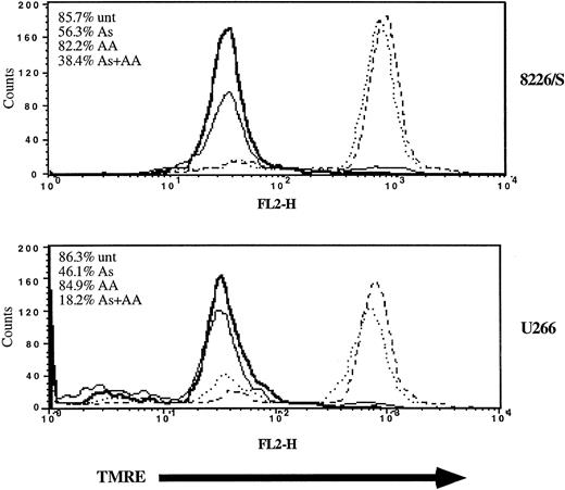 Fig. 7. Ascorbic acid potentiates As2O3-mediated disruption of mitochondrial membrane potential. / Cells (2 × 105) were cultured in the absence (dashed line) or the presence of As2O3 (2 μM; solid line), AA (100 μM; dotted), or As2O3+AA (bold) for 48 hours. Mitochondrial membrane potential was measured by TMRE fluorescence and FACScan analysis as described in “Materials and methods.” Cell viability (inset) was monitored by Annexin V–FITC and PI staining followed by FACScan analysis. Data are representative of 3 independent experiments per cell line.