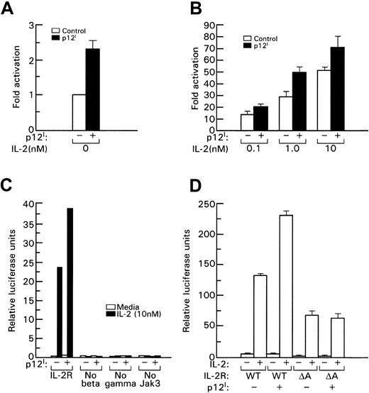 Fig. 3. STAT5 transcriptional activation induced by p12I depends on binding to the IL-2R β chain. / In this experiment, 293T cells were transfected with plasmids expressing IL-2R β, IL-2R γc, Jak3, and STAT5b with or without p12I. IL-2 was added 20 hours later; after 24 hours, activation of the β-casein luciferase reporter was determined by using a luminometer. A Renilla luciferase reporter (Promega, Madison, WI) was used to control transfection efficiency. (A) Basal transcriptional activation of STAT5b in the absence of IL-2. (B) STAT5b activation with increasing amounts of IL-2 (nM). The error bars in panels A, B, and D indicate the SE from 3 independent experiments. Panel C shows a representative experiment. At least 3 independent experiments were done to obtain the results shown in each panel. WT indicates wild-type IL-2R β, and A indicates the βΔA mutant.