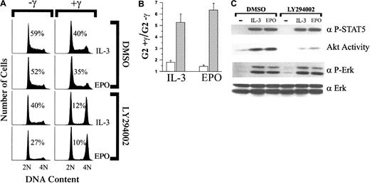 Fig. 4. Inhibition of PI-3K–dependent signaling pathways prevents IL-3 and EPO from overriding γ-IR–induced growth arrest. / (A) 32D–EPO-R(wt) cells were cultured in medium that contained either 1.4 ng/mL IL-3 or 5 U/mL EPO. Cultures were then supplemented with either DMSO (0.2%) or LY294002 (10 μM). Subsequently, cultures were exposed to 4 Gy γ-IR (+γ) or were left untreated (−γ). Twenty-four hours after irradiation, cells were stained with PI and analyzed by FACS. Before PI staining, viability of the cells was determined by trypan blue exclusion and was 94% or greater in all experiments. Percentage of S-phase cells is indicated for each culture. (B) Percentage of G2/M cells in γ-IR–treated cultures versus nonirradiated cultures shown in panel A was determined, and the fold increase in G2/M was calculated (G2+γ/G2−γ). Values presented represent the average of 3 independent experiments. ■, DMSO; ▨, LY294002. (C) 32D–EPO-R(wt) cells treated with either DMSO (0.2%) or LY294002 (10 μM) were left unstimulated (−) or were stimulated with 1.4 ng/mL IL-3 or 5 U/mL EPO for 8 minutes. Akt catalytic activity was assayed from cell lysates in an in vitro kinase assay (see “Materials and methods). Alternatively, whole cell lysates were Western blotted with anti–phospho-Erk (α P-Erk) or anti–phospho-Stat-5A/B (α P-STAT5) antibodies. As a control for loading, lysates were probed with anti-Erk2 (α Erk) antiserum.