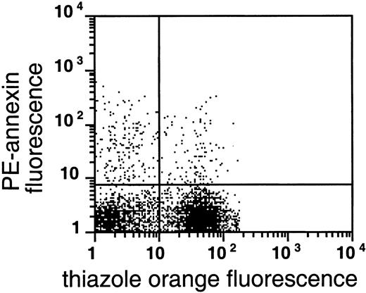 Fig. 4. PS exposure among reticulocytes. / Double labeling of sickle cells from the very light fraction (density less than 1.082 g/mL) with biotin-AV/PE-SA and thiazole orange indicate the presence of RNA in PS-exposing RBCs. Shown are the results with one typical specimen, which was comparable to 7 similar experiments.
