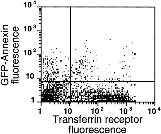 Fig. 5. PS exposure among transferrin receptor–expressing cells. / Sickle cells from the very light fraction (density less than 1.082 g/mL) were double-labeled with GFP-AV and PE-labeled anti–transferrin receptor antibody. Shown are the results with one typical specimen, which was comparable to 3 similar experiments.