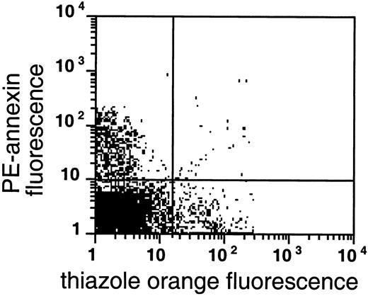 Fig. 6. PS exposure in the valinomycin-resistant fraction of light sickle RBCs. / Double labeling of valinomycin-resistant sickle cells with biotin-AV/PE-SA and with thiazole orange as an RNA stain. These results with one sample were typical of 4 similar experiments.