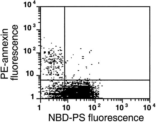 Fig. 9. The flipase is inactivated in the PS-exposing subpopulation of sickle cells. / This plot is a typical example of the analysis of flipase activity and PS exposure in sickle cells following the labeling procedure described in Figure 8B (this experiment was typical of 4 similar experiments). After PE-SA/biotin-AV labeling, sickle cells were incubated with NBD-PS for 1 hour and back-extracted with BSA.