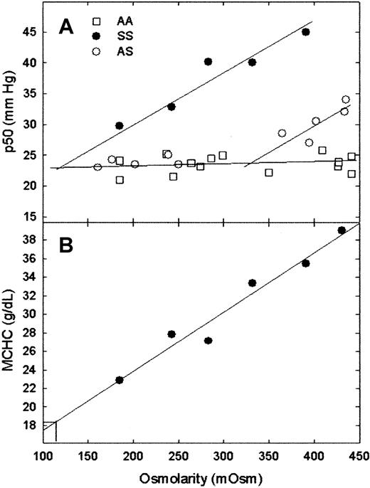 Fig. 1. MCHC and p50 versus osmolarity. / (A) Measurement of intracellular CSAT by plotting p50 versus extracellular osmolarity for AA, SS, and AS red cells. (B) Determination of MCHC at the onset of polymer formation for SS red cells by plotting MCHC versus extracellular osmolarity. MCHC and p50 for representative patients with AA, AS, and SS. As expected, patient-to-patient variation was observed (data not shown). The CSAT for SS red cells can also be estimated from the intersection of the SS p50 line with the horizontal line because the p50 values of HbA and HbS were the same in the absence of polymer formation. Intracellular CSAT for this patient, who had 9.7% HbF, was 18.2 g/dL. The patient with AS did not have the α-thalassemia trait and had an estimated CSAT of 32.2 g/dL. Under fully deoxygenated conditions, the traditional method of measuring CSAT yielded values of 15.8 g/dL for purified SS.5