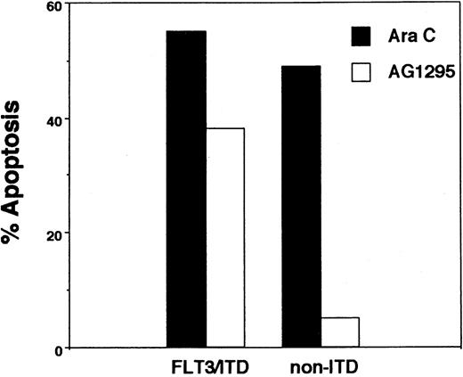 Fig. 2. Apoptosis assay. / Blasts from a FLT3/ITD sample and a non-ITD sample were incubated for 48 hours with either 5 μM AG1295 or 5 μM Ara C. They were then assayed for annexin V binding as described. Cell populations from frozen samples have a fraction of blasts that die from the freeze-thaw cycle. Results are displayed as the percent of cells induced by drug to bind annexin V after first subtracting the baseline necrotic population from both the treatment and control (DMSO) groups.