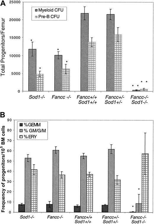 Fig. 6. Colony-forming assays. / (A) Colony-forming assays reveal decreased numbers of progenitors inFancc−/−Sod1−/− BM samples. Myeloid (dark bars) and pre-B (hatched bars) CFUs were determined forSod1−/−, Fancc−/−, Fancc+/+ Sod1+/+, Fancc+/−Sod1+/−, andFancc−/−Sod1−/− mice. The decrease in the number of progenitors/femur is highly significant (P = .0002) whenFancc−/−Sod1−/− mice are compared to Fancc+/+Sod1+/+controls. Values represent the average number of progenitors/femur of 6 mice per group ± SEM. * = P < .05, ** = P < .001. (B)Fancc−/−Sod1−/− progenitors fail to generate normal ratios of CFU-GEMM, CFU-GM/G/M, and BFU-E. Myeloid colonies from panel A were assessed morphologically to determine the cell types contributing to the colonies. CFU-GEMM (dark bars), CFU-GM/G/M (light gray bars), and BFU-E (hatched bars) colonies were scored by eye and the values represent average percent of cell type ± SEM (n = 6-8 mice/group). Ratios of CFU-GM/G/M, and CFU-GEMM from Fancc−/−Sod1−/−samples were significantly different fromFancc+/+Sod1+/+ controls (P = .002 and P = .003, respectively).