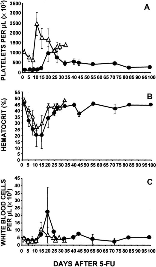 Fig. 1. Effects of 5-FU. / Shown are effects of intraperitoneal administration of 150 mg/kg 5-FU (on day 1) on levels of circulating platelets (A), hematocrit (B), and white blood cell counts (C) in wild-type C57/Bl6 mice (▵) and c-mpl−/− mice (●). Baseline blood cell counts were obtained before injection of 5-FU. C-mpl−/− mice had delayed development of thrombocytosis, which did not reach the level observed in wild-type mice. Data were derived from 5 independent experiments and based on a total of 83 c-mpl−/− mice and 31 C57/Bl6 mice. One day before administration of 5-FU and 7 days afterward, blood samples were obtained from all mice, thereby allowing determination of baseline platelet counts and confirmation of the response to 5-FU. Thereafter, blood samples were obtained from groups of 2 to 10 mice. Normal mean ± SE values (n = 17) were platelets, 1053 × 109/L ± 176 × 109/L; hematocrit, 0.47 ± 0.2; and white blood cells, 4.3 ± 2.0 × 109/L.