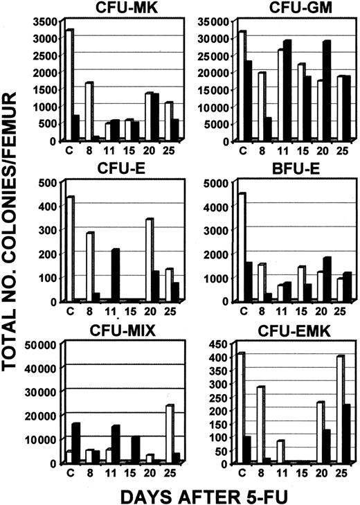 Fig. 2. Total numbers of types of CFCs in bone marrow after administration of 5-FU. / Serial determinations of different types of hematopoietic colonies compared levels in wild-type C57/Bl6 mice (■) and c-mpl−/− mice (▪). Mice were 6- to 8-weeks old at initiation of these experiments. The results of a single experiment representative of 3 other independent experiments are shown, except for the finding for CFU-MKs, which is the mean result of 2 experiments representative of 2 other independent experiments.