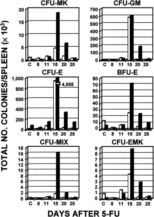 Fig. 3. Total numbers of types of CFCs in the spleen after administration of 5-FU. / Serial determinations of different types of colonies compared levels in wild-type C57/Bl6 mice (■) and c-mpl−/− mice (▪). Mice were 6- to 8-weeks old at initiation of these experiments. The results of a single experiment representative of 3 other independent experiments are shown, except for the finding for CFU-MKs, which is the mean result of 2 experiments representative of 2 other independent experiments.