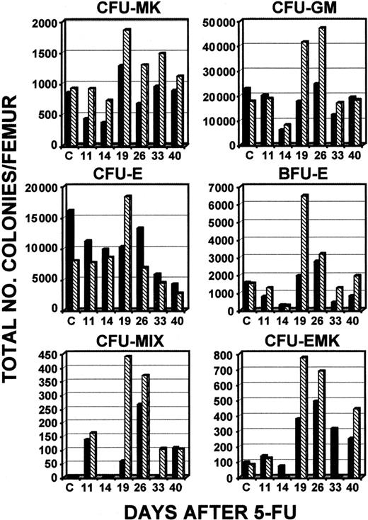 Fig. 7. Total numbers of types of CFCs in bone marrow after administration of 5-FU. / Serial determinations of different types of colonies compared levels in young c-mpl−/− mice (6-8 weeks; ▪) and old c-mpl−/− mice (33-46 weeks; ▧). The results of a single experiment representative of 2 independent experiments are shown.