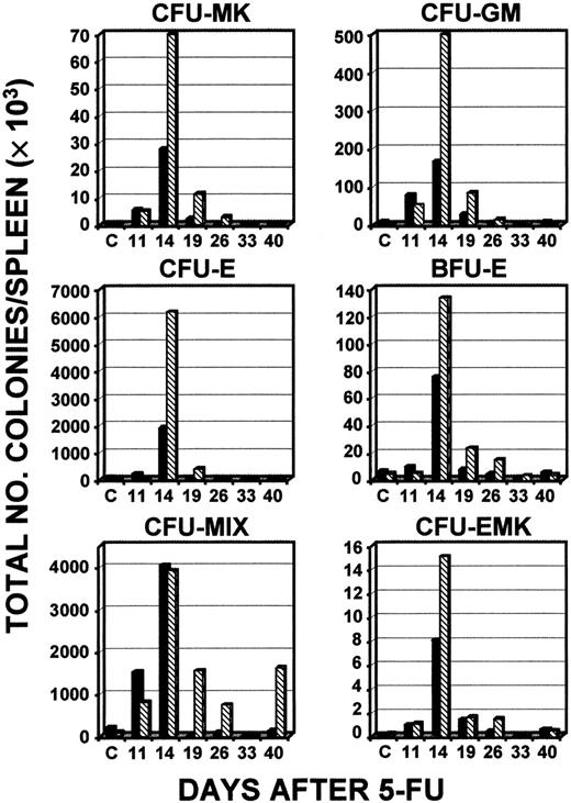 Fig. 8. Total numbers of types of CFCs in the spleen after administration of 5-FU. / Serial determinations of different types of colonies compared levels in young c-mpl−/− mice (6-8 weeks; ▪) and old c-mpl−/− mice (33-46 weeks; ▧). The results of a single experiment representative of 2 independent experiments are shown.