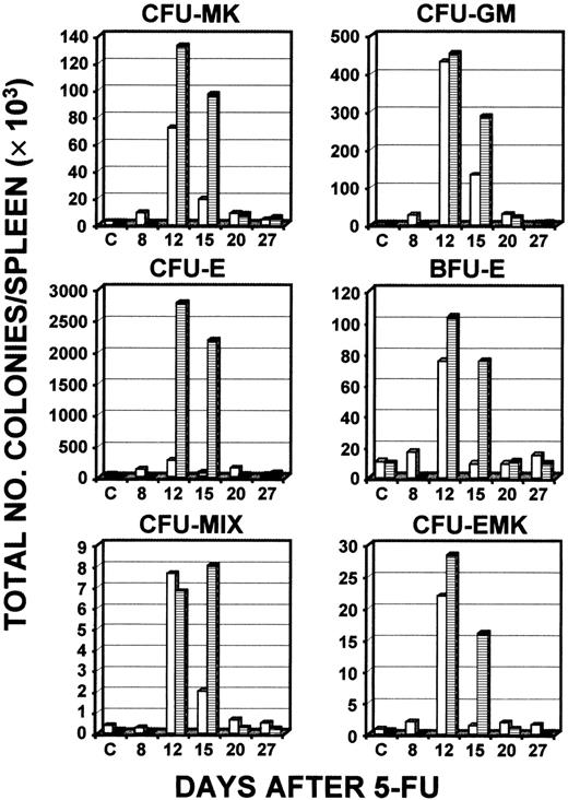 Fig. 10. Total numbers of types of CFCs in the spleen after administration of 5-FU in C57/Bl6 mice. / Serial determinations of different types of colonies compared levels in young wild-type C57/Bl6 mice (6-8 weeks; ■) and old wild-type C57/Bl6 mice (33-46 weeks; ▤). The results of a single experiment representative of 2 independent experiments are shown.