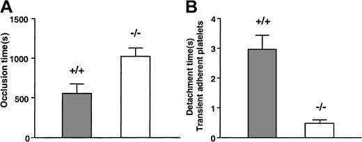 Fig. 1. Effect of GPV deficiency in an intravital arterial thrombosis model. / GPV knockout (−/−, open bars) or WT (+/+, gray bars) mice were injected with calcein-labeled platelets of matching phenotype. After exposure of mesenteric arteries and FeCl3 injury, the arteries were observed for up to 20 minutes by fluorescence videomicroscopy. Time to vessel closure was determined (A), and vessels still permeable at the end of the experiment were scored as occluded in 20 minutes. Occlusion times in GPV-deficient mice (n = 10) were statistically prolonged (P = .01; 2-tailed t test) compared to those of littermate (+/+) controls (n = 12). During the first 2 minutes after injury, single platelets tethering to the vessel wall were randomly assigned and timed for detachment after frame-by-frame analysis (B) (n = 34 platelets from 5 arteries for WT mice and n = 24 platelets from 5 arteries for GPV null mice). Platelets detached significantly faster (P < .0001; 2-tailed ttest) in GPV null (0.47 ± 0.05 seconds) than in WT mice (2.97 ± 0.48 seconds). Results in panels A and B are expressed as mean values ± SEMs.