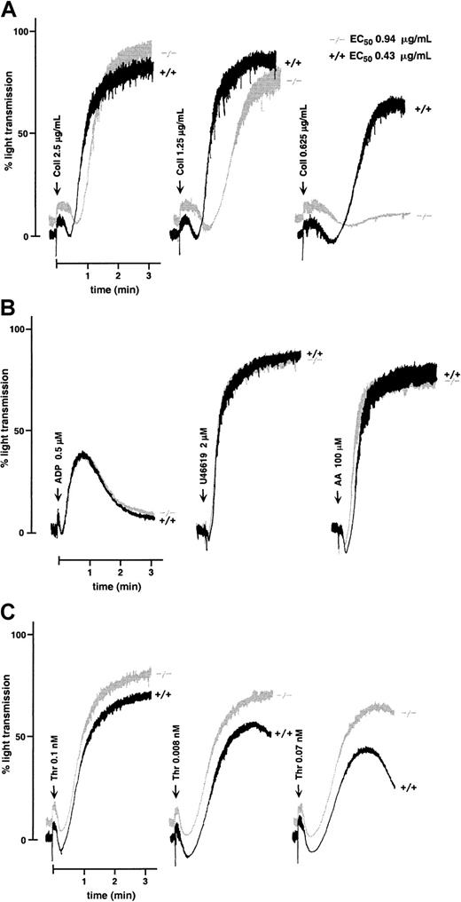 Fig. 3. Aggregation of WT and GPV-deficient platelets. / Aggregation of washed platelets from GPV null (−/−) or WT (+/+) mice was initiated by the addition of collagen (Coll) (A), ADP, the thromboxane analog U46619, or arachidonic acid (AA) (B), or thrombin (Thr) (C), in the presence (A, B) or absence (C) of fibrinogen. Washed platelets were prepared from pools of 5 to 7 mice for each genotype. GPV null platelets exposed to decreasing doses of collagen gave a diminished response compared to WT platelets, reflected in an increased lag phase and a reduced amplitude of aggregation (A). Concentrations of collagen that induced half-maximal aggregation of WT and GPV null platelets are indicated as EC50 values. Aggregation responses to ADP, U46619, and arachidonic acid were normal in GPV-deficient platelets (B). GPV null platelets displayed enhanced aggregation in response to low doses of thrombin (C). Tracings are representative of at least 3 separate experiments.