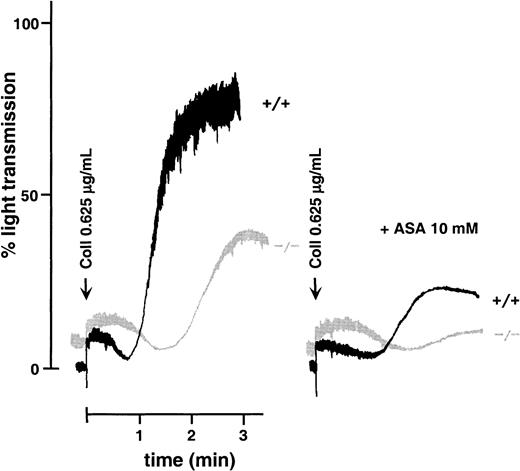 Fig. 4. Effects of aspirin on collagen-induced aggregation of WT and GPV-deficient platelets. / Washed mouse platelets left untreated or preincubated with 10 mM aspirin (ASA) were activated with 0.625 μg/mL collagen (Coll) in the presence of fibrinogen. Aspirin inhibited the aggregation response of both GPV null (−/−) and WT (+/+) platelets, but a more prolonged lag phase was observed in GPV-deficient cells. This experiment was performed twice with comparable results.