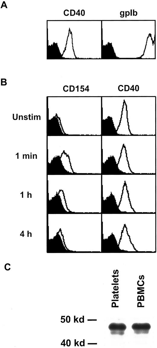 Fig. 1. Expression and structure of platelet CD40. / (A) Unstimulated platelets were analyzed by flow cytometry for expression of CD40 and gpIb. (B) Washed platelets were stimulated for the indicated time periods with 0.2 U/mL thrombin and analyzed for expression of CD154 and CD40. The background signal obtained with the isotype control antibody is shown in black. (C) CD40 was immunoprecipitated from lysates of platelets and PBMCs with mAb G28-5 and detected by Western blotting with a CD40-specific antiserum. Unstim indicates unstimulated.