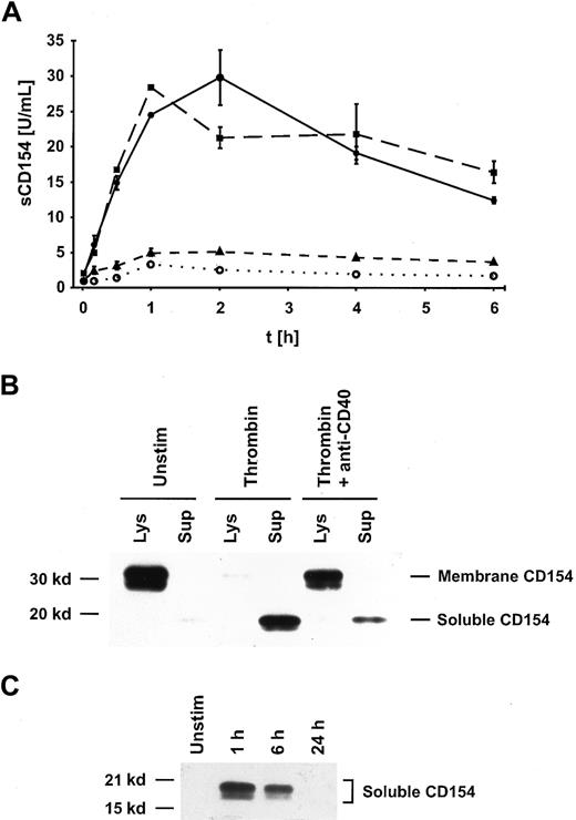 Fig. 2. Interaction of CD154 with CD40 on the cell surface of activated platelets leads to cleavage of CD154. / (A) Platelets were either left unstimulated (○) or were activated with 0.2 U/mL thrombin for the indicated times, and the concentration of sCD154 in the supernatants was determined using a specific ELISA. The data are shown as mean values ± SD of duplicates and are representative of 4 independent experiments. The low background levels of sCD154 observed in unstimulated platelets probably reflect a minimal activation of platelets through the isolation and incubation procedures. ●, activated; ▪, activated plus mAb MOPC-21; ▴, activated plus mAb G28-5. (B) CD154 was immunoprecipitated from lysates and supernatants of unstimulated or activated (0.2 U/mL thrombin for 1 hour) platelets with mAb TRAP2 and detected by Western blotting with a CD154-specific antiserum. In parallel, platelet activation was performed in the presence of anti-CD40 mAb G28-5 (10 μg/mL). Unstim indicates unstimulated; Lys, lysate; Sup, supernatant. (C) Platelets were either left unstimulated or activated for the indicated time periods, and sCD154 was immunoprecipitated with a chimeric CD40-Ig reagent. The immunoprecipitate was subjected to SDS-PAGE and detected by Western blotting with a CD154-specific antiserum. Unstim indicates unstimulated.