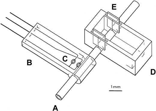 Fig. 1. Schematic diagram of instrumented mouse carotid artery. / The proximal portion of the exposed carotid artery (A) is placed in the boat (D) through slits in the side walls, and the distal portion of the artery is placed in the groove of the temperature probe (B). Once the artery is positioned, FeCl3 in Surgilube is placed in the boat to initiate thrombosis. A, artery; B, probe; C, thermistors; D, boat; E, gaskets.