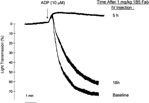 Fig. 2. 1B5 Fab fragments. / Administration of 1B5 Fab fragments (1 mg/kg, IV) inhibits ex vivo ADP (10 mM)–induced platelet aggregation.