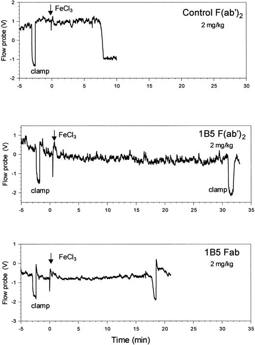 Fig. 6. Antibody 1B5 prolongs the time to occlusive thrombus formation in carotid arteries of wild-type mice. / Antibodies (2 mg/kg) were administered by intraperitoneal injection within 1 hour before arterial injury. Time to maximal temperature reduction occurred 8 minutes and 18.5 minutes after the initiation of injury in mice treated with control F (ab′)2 and 1B5 Fab, respectively. No temperature reduction occurred in the mouse treated with 1B5 F(ab′)2 for up to 30 minutes after the application of FeCl3.