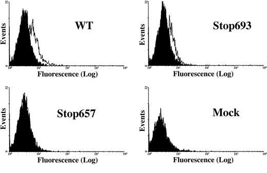 Fig. 3. Flow cytometric analysis of transiently transfected cells. / Surface expression of the GPIIb/IIIa complex in BHK cells transfected with normal GPIIb cDNA and either normal or mutant Stop693 or Stop657 GPIIIa cDNAs. Binding of 10E5 antibodies is demonstrated for WT and Stop693 cells but not for Stop657 and mock cells. The x-axis represents fluorescence intensity, and the y-axis represents total events.