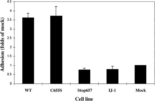 Fig. 4. Adhesion of normal, mutant, and mock-transfected cells labeled by 3H-thymidine to immobilized fibrinogen. / Adherence of each cell clone is expressed in proportion to the adherence of mock cells. Bars represent the mean ± SD of 3 experiments, each performed in quadruplicate. It can be seen that cells transfected with normal GPIIb and GPIIIa cDNAs and cells transfected with normal GPIIb and GPIIIa C655S cDNAs adhered to fibrinogen, whereas cells containing IJ-1 and Stop657 did not.