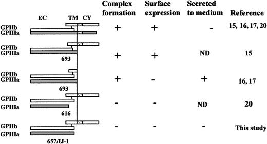 Fig. 8. Schematic representation of the effects of various truncations in GPIIIa and GPIIb on GPIIb/IIIa complex formation, surface expression, and secretion. / CY, cytoplasmic domain; EC, extracellular domain; ND, not determined; TM, transmembrane; WT, wild-type.