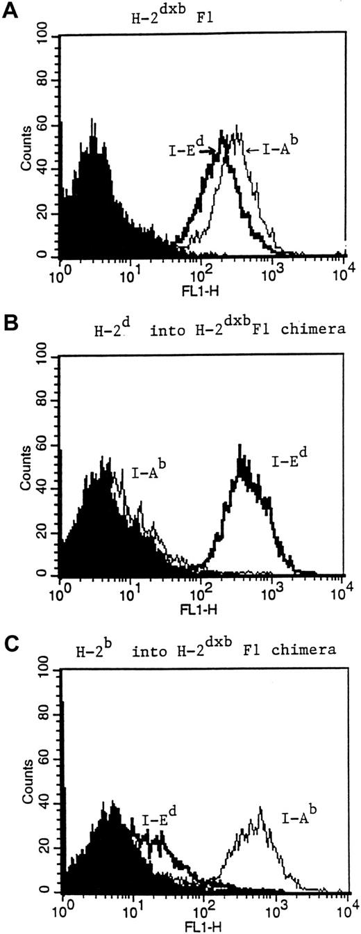 Fig. 3. Phenotypic characterization of reconstituted BM chimeras. / Three months after BM reconstitution, mice from either H-2d→H-2dxb (B) or H-2b→H-2dxb chimeras (C) were killed. Splenocytes from these animals were stained for the expression of I-Ed using the MoAb 14.4.4 (IgG2a), or for the expression of I-Ab with the MoAb Y3P (IgG2a). FITC goat anti–mouse IgG2a secondary antibody was added and the stained splenocytes were analyzed for MHC class II expression by FACS. Splenocytes from an H-2bxd mouse (A) were used as a positive control. Shaded histogram in each figure represents background staining.