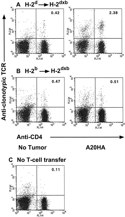 Fig. 4. Changes in clonotype-positive T cells in H-2d→H-2dxb tumor-bearing chimeras. / Three months after BM reconstitution, H-2d→H-2dxb (A) or H-2b→ H-2dxb (B) chimeras received 1 × 106 anti-HA CD4+ TCR transgenic T cells IV. One day later, half the animals in each set of chimeras were challenged with 1 × 106 A20HA tumor cells given IV. On day +22 after tumor challenge, all the animals were killed, and purified splenic T cells were analyzed by 2-color flow cytometry staining for CD4 versus anti-HA TCR clonotype (MoAb 6.5). (C) Background staining was done using this antibody combination on spleen cells from BALB/c mice without transgenic T-cell transfer. Three mice were included per group. Shown are representative FACS plots from individual mice in each group. Upper right quadrant numbers: percentage of double-positive T cells.