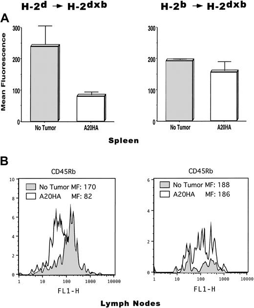 Fig. 5. Phenotypic changes associated with antigen recognition on CD4+ TCR clonotype+ T cells is only seen in H-2d→H-2dxb tumor-bearing chimeras. / T cells from the mice in Figure 4 were isolated from their spleen or lymph nodes as described in “Materials and methods.” Cells were stained with cychrome-labeled anti–mouse CD4, biotinylated anti–TCR clonotype MoAb 6.5 followed by PE-labeled streptavidin and FITC-conjugated anti–mouse CD45RB. Live gating on CD4+ T cells was set, and 100 000 events collected per sample. (A) Mean fluorescence intensity ± SE is shown for CD45Rb expressed by CD4+TCR clonotype-positive T cells isolated from the spleen of tumor-free (No tumor) or A20HA-bearing chimeric mice (3 mice per group). (B) Representative FACS profile of CD45Rb expression by anti-HA CD4+ T cells isolated from lymph nodes. Inguinal and axillary lymph nodes were harvested from tumor-free and tumor-bearing chimeric mice. Lymph node cells from 3 animals per group were pooled and T cells were isolated and stained as described above. Shaded histograms in each figure correspond to clonotype-positive T cells from tumor-free mice. Open histograms correspond to clonotype-positive T cells from tumor-bearing mice. MF indicates mean fluorescence intensity. Shown is a representative experiment of 3 independent experiments with similar results.