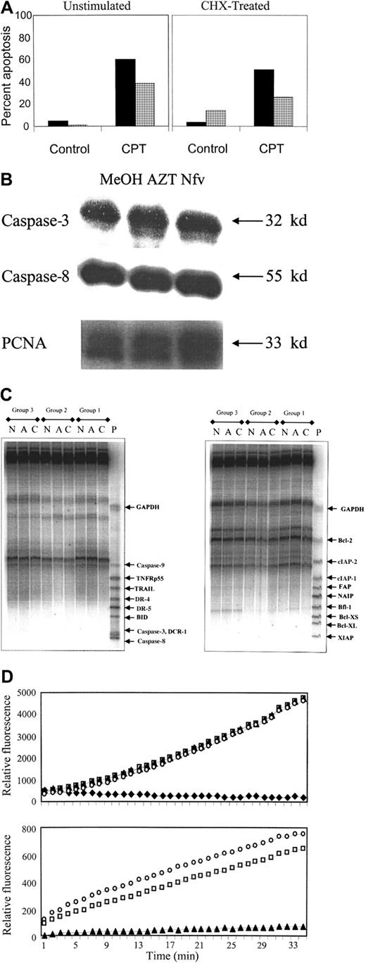 Fig. 2. Nfv does not alter protein or mRNA expression or caspase activity. / (A) Apoptosis was induced by stimulation with 10 μM CPT and assessed after annexin-V and propidium iodide staining by flow cytometry (data representative of 3 independent experiments). (B) Immunoblots of pro–caspase-3 and -8 from whole-cell lysates (40 μg of protein per lane) of Jurkat cells treated overnight with MeOH, 10 μM AZT, or 7 μM Nfv. The PCNA immunoblot confirms equal loading. Jurkat control cells (left panel) or cells pretreated for 1 hour with 10 μg/mL CHX (right panel) before overnight culture with MeOH (▪) or 7 μM Nfv (░). (C) RPA of mRNA (40 μg per lane) from Jurkat cells treated for 3 days with MeOH, 10 μM AZT, or 7 μM Nfv. P indicates probe; C, MeOH; A, AZT; N, Nfv; GAPDH, glyceraldehyde-3-phosphate dehydrogenase. (D) Active human recombinant caspase-3 was incubated with its fluorogenic substrate (DEVD-AFC) alone (■) or in the presence of 100 μM DEVD-FMK (♦), 7 μM Nfv (▴), or MeOH (○), and the kinetics were assessed over 30 minutes (top panel). Similar results were also obtained with active human recombinant caspase-1, -6, -7, and -8 (data not shown). Data are representative of at least 3 independent experiments for each caspase tested. HIV-1 protease cleavage of gag/pol fluorogenic substrate was assessed alone (■), with 7 μM Nfv (▴), or with methanol (○) (bottom panel).