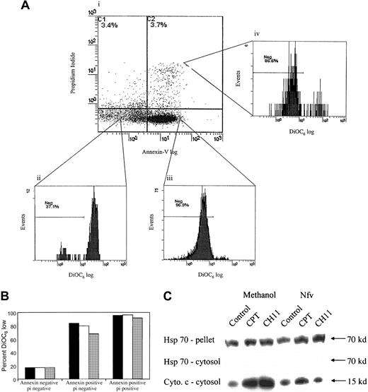Fig. 3. Nfv inhibits loss of mitochondrial membrane potential (Δψm) as well as cytochrome-c release and caspase-8 cleavage. / (A) Jurkat cells were treated overnight with 10 μM CPT. Δψm of cells in the (i) dead (annexin negative propidium iodide positive), (ii) healthy (annexin negative propidium iodide negative), (iii) apoptotic (annexin positive propidium iodide negative), and (iv) early dead (annexin positive propidium iodide positive) cell populations were simultaneously assessed using DiOC6. (B) Cumulative data from (A) refer to the percentage of cells exhibiting a DiOC6-low phenotype. Data are representative of 3 independent experiments. pi indicates propidium iodide. (C) Nfv treatment inhibits cytochrome-c release. Jurkat cells were treated overnight with MeOH or 7 μM Nfv, and apoptosis was induced by stimulation with 10 μM CPT or 0.5 μg/mL CH11 for 8 hours, as indicated. Immunoblots were then performed of Hsp 70 in the mitochondrial pellet (upper) and cytosol (middle), and of cytochrome-c release in cytosol (lower; 40μg of protein per lane). Blots are representative of 2 independent experiments.