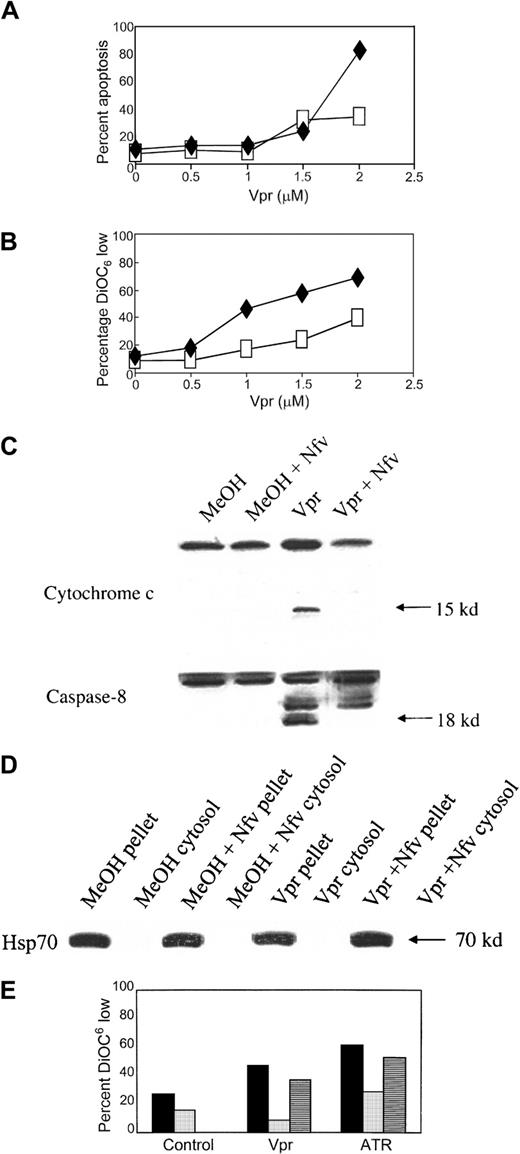 Fig. 4. Nfv inhibits apoptosis induced by PTPC opening. / (A) Jurkat T cells were pretreated with MeOH (♦) or 7 μM Nfv (■) for 1 hour before overnight stimulation with the indicated doses of Vpr. Apoptosis was assessed by annexin-V and propidium iodide. Data are representative of 3 independent experiments. (B) Mitochondrial Δψm was assessed using DiOC6. Data are representative of 3 independent experiments. ♦, Vpr; ■, Vpr + Nfv. (C) Jurkat cells were treated with MeOH or 7 μM Nfv for 1 hour before overnight stimulation with 2.5 μM bovine serum albumin (BSA) or 2.5 μM Vpr and immunoblotted for cytochrome-c release (upper) and pro–caspase-8 cleavage (lower) in the cytosolic fraction. (D) Immunoblot of Hsp 70 in pellet and cytosolic fractions. (E) Isolated mitochondria were treated overnight with methanol (▪), 7 μM Nfv (░), or 50 μM BA (▤) before being stimulated with 2.5 μM Vpr or 5 mM ATR. Loss of Δψm was assessed using DiOC6.