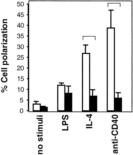 Fig. 3. Induction of B-cell polarization is impaired in the absence of WASP. / B cells from WASP− (▪) and WASP+ (■) mice were cultured with indicated stimuli for 24 hours, after which they were fixed. Polarized cells were defined as having a tapered cell body and uropods, whereas nonpolarized cells were spherical. Polarized cell frequency was determined. Results are presented as mean values of triplicate experiments, error bars represent 1 SD, and brackets indicate P < .005 using a 2-tailed t test. At least 300 cells were counted in each group, and the data are representative of at least 4 experiments.