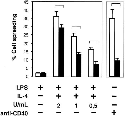 Fig. 4. Impaired spreading in the absence of WASP. / B cells from WASP− (▪) and WASP+ (■) mice were cultured with indicated stimuli for 46 to 50 hours and were thereafter transferred to anti-CD44–coated plates. Cells were incubated for 17 to 19 more hours and fixed. The frequency of spread cells, having at least one protrusion longer than one cell diameter, was determined. Mean values of 5 samples (LPS and LPS plus IL-4) or triplicate experiments (anti-CD40 mAb, 30 μg/mL) in each group are presented. Error bars represent 1 SD, and at least 300 cells were counted in each group. Brackets indicate P < .001 using a 2-tailed t test. This observation is representative of 3 similar experiments.