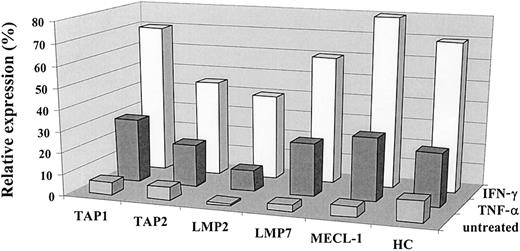 Fig. 2. Comparative analysis of the effects of IFN-γ and TNF-α on the expression of the immunoproteasome subunits and TAPs. / The expression of TAP1, TAP2, LMP2, LMP7, MECL-1, and heavy chain proteins in the 0505 melanoma cell line was assessed by Western blot analysis and then by densitometry analysis on the specific bands. Expression of the protein of interest was analyzed by the same Western blot procedure in 3 different samples: cells propagated in complete medium (designated as untreated), in the medium containing IFN-γ (500 U/mL), or in the medium containing TNF-α (30 ng/mL). Data shown in the figure are expressed as percentage band intensity of each specific protein band in the tumor sample (untreated or treated with either of the cytokines) relative to that of the corresponding protein band in the lymphoblastoid cell line unexposed to any lymphokine (positive control), arbitrarily defined as 100% band intensity. Expression of the protein of interest in tumor cells is calculated as a percentage expression relative to that observed in a positive control and designated as relative expression. Two to 3 independent experiments were performed for each protein. Results of one experiment are shown in the figure.