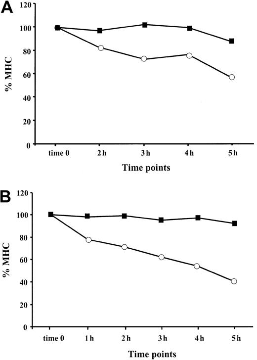 Fig. 6. TNF-α increases stability of MHC class I complexes at the cell surface. / The presence of HLA class I at the cell surface of TNF-α–treated (▪) and control (○) cells was monitored at different time points (1 hour, 2 hours, 3 hours, 4 hours, 5 hours) after exposure to BFA. Level of MHC class I in the cell sample harvested at the end of BFA treatment is designated as time zero. MFI for each sample was calculated as the difference between the value obtained with W6/32 and isotype control antibody. Resultant intensity of fluorescence at each time point is shown as a percentage relative to the intensity of fluorescence at time zero (indicated as % MHC). (A) MHC class I stability at the cell surface of BL cell line. Results of 1 representative out of 3 performed experiments are shown. (B) MHC class I stability at the cell surface of 397 cell line. Results of 1 representative out of 4 experiments are shown.