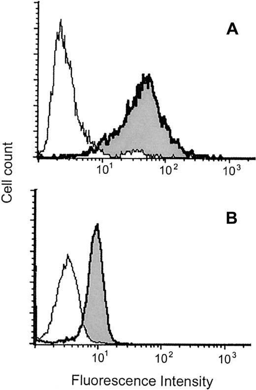 Fig. 2. Flow cytometric analysis of intracytoplasmic MBP in MCs and eosinophils. / Representative results obtained with permeabilized CB-derived MCs (A) and eosinophils (B) are shown. The histograms indicated as shaded areas with bold lines were obtained using the anti-MBP MoAb (BMK-13), whereas those indicated as open areas with thin lines were obtained using control antibody. The experiments using another anti-MBP MoAb (AHE-2) derived from a different hybridoma gave similar histograms. The mean fluorescence intensity ratios of MBP to control in PB- and CB-derived MCs and eosinophils were, respectively, 14.3 ± 2.1 (n = 10) and 2.4 ± 0.5 (n = 3). The levels of coefficient of variation for MCs and eosinophils were, respectively, 86.2% ± 6.4% and 37.4% ± 5.3% (n = 10 and n = 3), indicating that the intensities of MBP fluorescence in MCs varied widely compared with those in eosinophils.