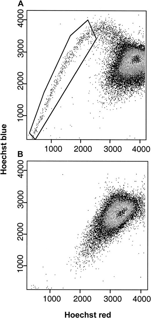 Fig. 1. Characteristic Hoechst 33342 staining profiles of MNC fractions from patients with AML. / SP cells (1.29% of MNCs, as boxed) were found in the bone marrow (panel A) but not the peripheral blood (panel B) of an AML patient with more than 90% blasts in both tissues.