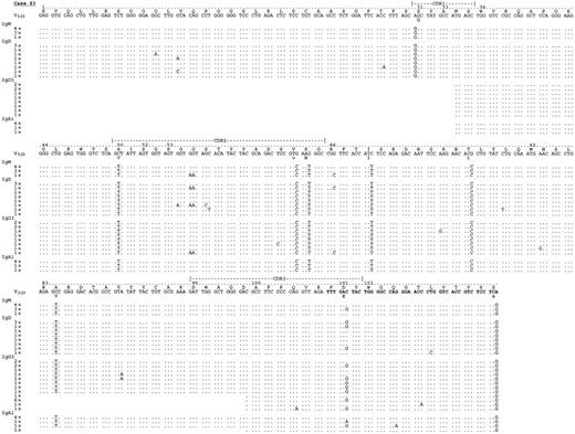 Fig. 4. Analysis of VH–constant region transcripts from case 83. / Alignment is made to the closest germline gene segments V3-23 and JH 4b (bold characters). By means of leader (for IgM and IgD) or VH primers (for IgA and IgG), together with constant region primers for μ, δ, γ, and α, transcripts for IgM, IgD, IgG2, IgG1, IgA1, and IgG3 were identified. All isotype transcripts share an identical mutational grade of homology to the germline sequence. Identical intraclonal variations, like GG → AA substitution (amino acid G → N) in codon 55 or C → G in codon 101, are seen in different isotype transcripts. Letters and numbers above germline sequence indicate amino acid sequence and codon numbers. The number of identical clones are indicated. Sequence identity is shown by dots; mutations are shown by mismatch characters.