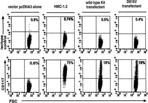 Fig. 1. Flow cytometric analysis of Kit expression on wild-type Kit– and D816V-transfected Jurkat cells. / Transfection efficiency of D816V and wild-type Kit transfectants were compared with Jurkat cells transfected with the vector pcDNA-3 alone and the Kit-expressing cell line HMC-1.2. The upper panel represents cells stained with the IgG1 isotype control and the lower panel, cells stained with Kit monoclonal antibody. FSC indicates forward scatter. Numbers shown in each quadrant refer to the percentages of cells bearing surface Kit. Data are representative of 3 separate experiments.