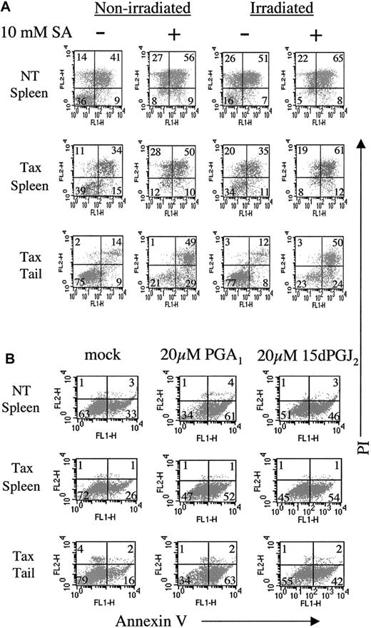 Fig. 7. NF-κB inhibitors induce apoptosis in Tax transgenic tumor cells. / (A) Fresh tumor and spleen cell suspensions from nontransgenic (NT) and Tax transgenic mice were incubated in the presence (+) or absence (−) of 10 mM sodium salicylate (SA) for 20 hours prior to treatment with 20 Gy (2000 rad) irradiation. Five hours post-irradiation, 105cells were stained with fluorescein isothiocyanate-conjugated antibodies against annexin V (FL1-H) and propidium iodide (PI, FL2-H). Late-stage apoptotic cells are indicated by dual positivity with annexin V and PI, and the percentage of positive cells in each quadrant is shown. (B) Fresh tumor and spleen cell suspensions from nontransgenic (NT) and Tax transgenic mice were incubated in the presence or absence of 10 μM or 20 μM prostaglandin A1 (PGA1) or 15-deoxy-Δ12,14-prostaglandin J2 (15dPGJ2) for 16 hours prior to annexin V and propidium iodide staining. Early-stage apoptotic cells are indicated by annexin V single positive staining, and the percentage of positive cells in each quadrant is shown.