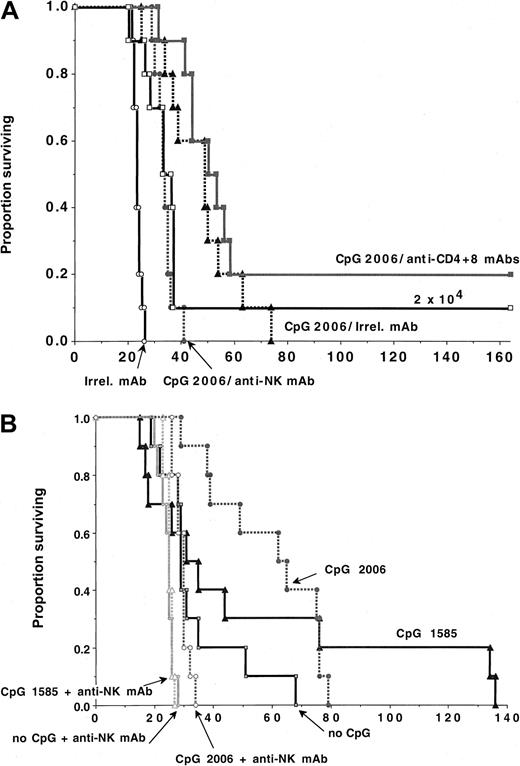 Fig. 4. NK-cells but neither T nor B cells are obligatory for optimal CpG ODN-induced anti-AML responses. / B6 (A) or B6-SCID (B) mice (n = 10 per group) were treated with CpG 1585 or 2006, beginning on day −2 prior to the infusion of C1498 cell (A: 6 × 105 cells/mouse unless otherwise indicated; B: 2 × 105 cells/mouse). Cohorts of mice were given irrelevant, anti-NK or anti-CD4+CD8 mAbs, as indicated, according to “Materials and methods.” (A) CpG 2006 administration reduced tumorigenicity as compared with controls (P = .0008). Depletion of NK cells (P = .0054) but not T cells (P = .14) significantly reduced the anti-AML efficacy of CpG 2006, although CpG-treated NK-depleted recipients survived significantly (P = .0006) longer than non–CpG-treated controls. (B) B6-SCID mice treated with CpG 2006 but not CpG 1585 survived significantly longer after C1498 challenge than controls (P = .00 and .16, respectively). NK-depleted B6-SCID mice treated with CpG 2006 but not CpG 1585 survived significantly longer after C1498 challenge than controls (P = .0008 and .36, respectively).