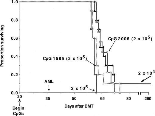 Fig. 7. CpG 2006 treatment prolongs the survival of recipients of allogeneic TCD bone marrow challenged with AML cells early (day 36) after BMT. / Lethally irradiated B6 recipients were reconstituted with B10.BR TCD bone marrow (n = 9-10 per group). Cohorts of mice received no treatment, CpG 1585, or CpG 2006 ODNs. ODN treatment was initiated on day 20 and continued through day 65. On day 36, recipients were given C1498 cells at the indicated cell dose. Recipients treated with CpG 1585 or CpG 2006 had a prolonged survival compared with controls receiving 2 × 105 cells (P = .045 and .001, respectively). Recipients given CpG 1585 and C1498 cells at a dose of 2 × 105 cells survived for a shorter duration, whereas those receiving CpG 2006 survived for a comparable duration than controls receiving 10-fold fewer C1498 cells (2 × 104) (P = .049 and .34, respectively). On the basis of these data, CpG 2006 resulted in an approximate 10-fold reduction in tumorigenicity.